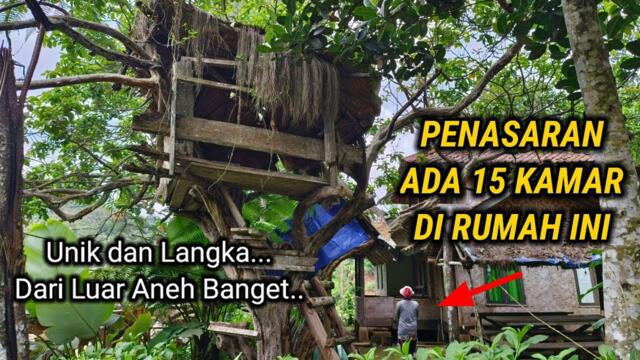 KISAH NYATA TIDAK MASUK AKAL!! RUMAH UNIK DAN LANGKA MILIK CEO KAYA RAYA BERADA DI HUTAN