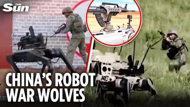 Armed robo-wolves are China's secret weapon for an amphibious invasion of Taiwan