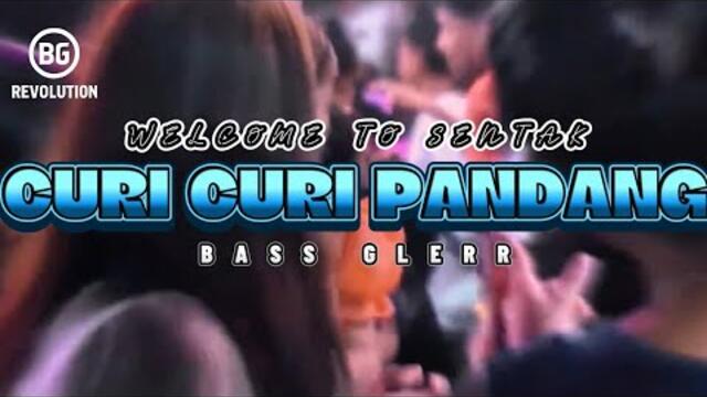 PARTY SENTAK💥 CURI CURI PANDANG (BG REVOLUTION) BASS GLERR 2025
