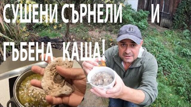 ГЪБЕНА КАША СЪС СУШЕНИ СЪРНЕЛИ mushroom porridge #mushroom #forageharvest #nature #гъби #forage