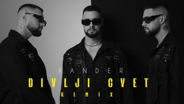 Xander - Divlji cvet (Remix) | Official Video (2025)