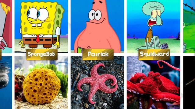 SpongeBob Characters in Real Life 😱🧽 You Won’t Believe They Actually Exist
