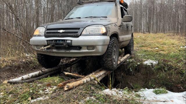 Куренга: Эхо заброшенной тайги в Васюганских болотах.