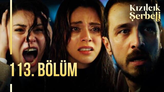 Kızılcık Şerbeti 113. Bölüm @showtv