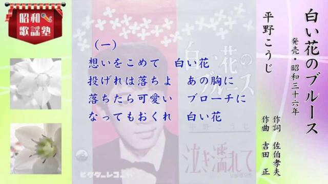 白い花のブルース（平野こうじ）song by eto3