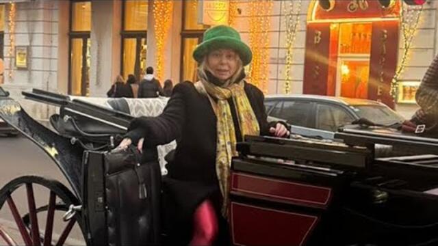 Horse city tour, Vienna, Austria