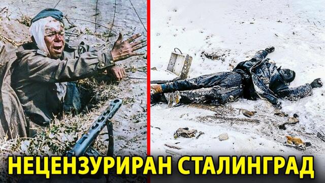 СТАЛИНГРАД БЕЗ ЦЕНЗУРА | Денят, В Който Армията На Хитлер Падна | Документален Филм В ЧИСТ ЦВЯТ