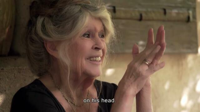 Brigitte Bardot - The Icon Who Walked Off Set Into the Wild - A rebel with a cause