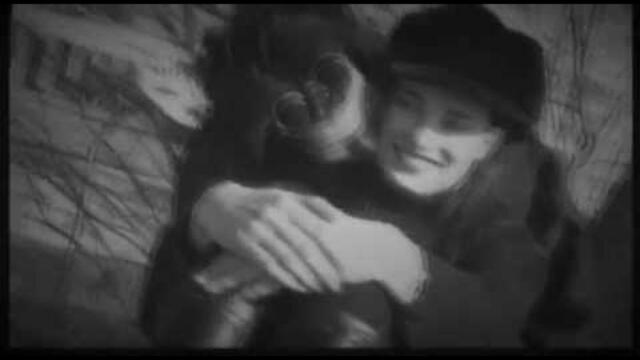 Πασχάλης Τερζής - Εμένα Μόνο - Official Video Clip