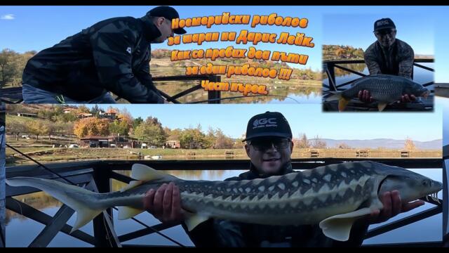 Ноемврийски риболов за шаран на Дарис Лейк. Как се пребих два пъти за един риболов !!! Част първа.