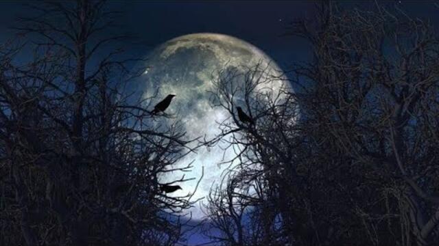 ПРИВОРОЖИТЬ ДЕНЬГИ В ПОЛНОЛУНИЕ... ДЛЯ ВСЕХ... РИТУАЛЫ ИНГИ ХОСРОЕВОЙ...