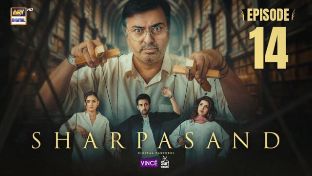 SharPasand Episode 14 | 20 Nov 2025 | ARY Digital Drama