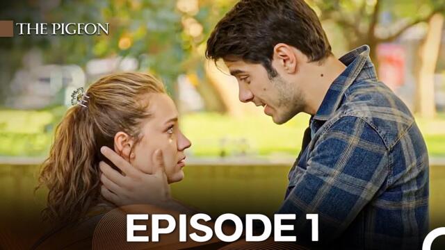 The Pigeon Episode 1 (English Subtitles)