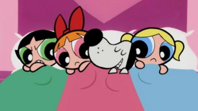 THE POWERPUFF GIRLS | Shut the Pup Up | REACTION