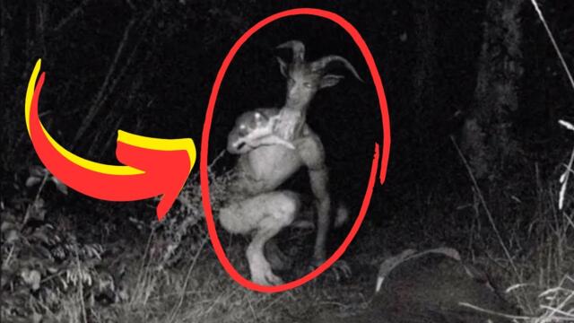 СТРАШНИ ИСТОРИИ за СКИНУОЛКЪР / ШЕЙПШИФТЪР