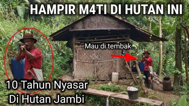 10 TAHUN HILANG DI TENGAH HUTAN JAMBI TINGGAL DAN TIDUR DI RUMAH POHON UNIK SENDIRAN