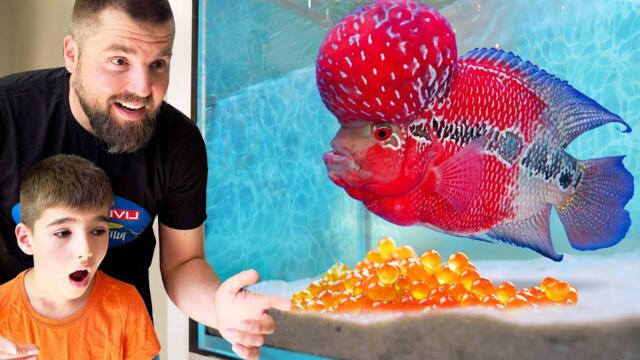 КУПИХМЕ РЯДКА ЖЕНСКА РИБА и ХВЪРЛИ ХАЙВЕР!