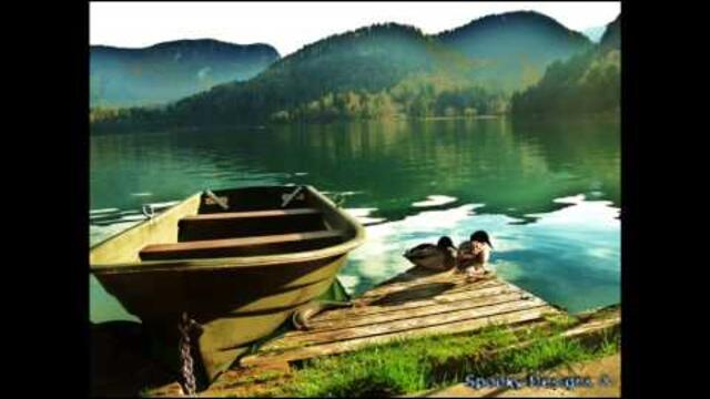 Avtomobili - Drugačno nebo