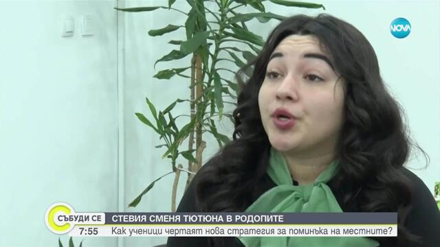 Стевията заменя тютюна в Родопите: Ученици чертаят нова стратегия за поминъка на местните хора