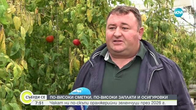 Нов скок в цените на зеленчуците заради растящите разходи на оранжерийните производители
