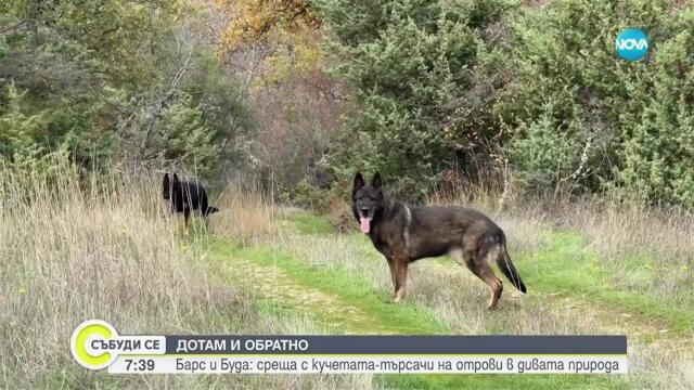 „Дотам и обратно”: Среща с кучетата, които спасяват защитени птици
