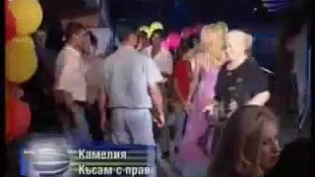 Камелия- Късам с правилата