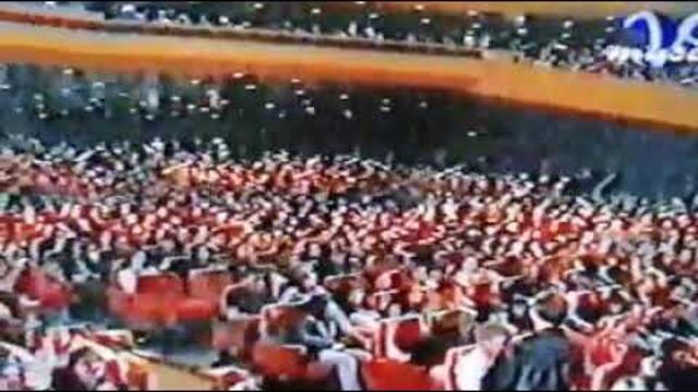 Камелия- Ти си