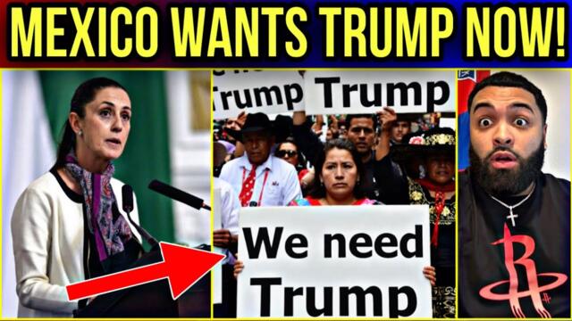 Mexico President FREAKS OUT as Pro Trump Mexicans BEG For his Help AGAINST HER & Cartels!!!