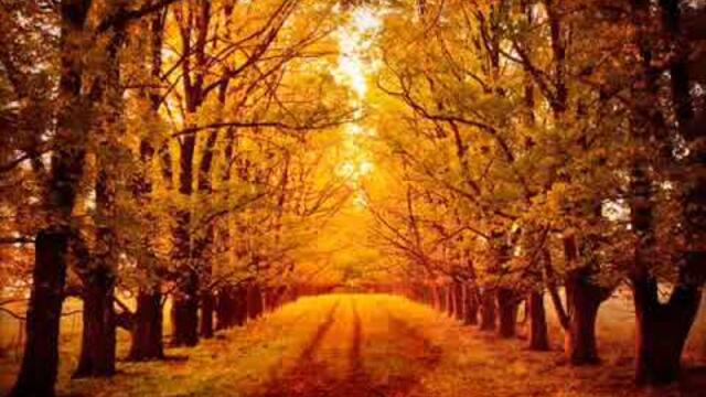 Φθινοπώριασε Πασχάλης Τερζής