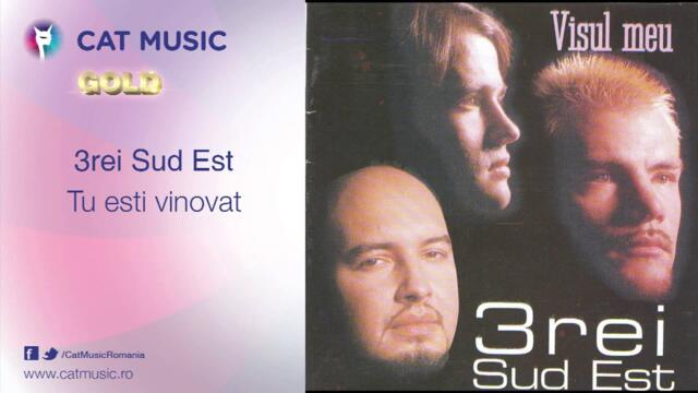 3rei Sud Est - Tu esti vinovat