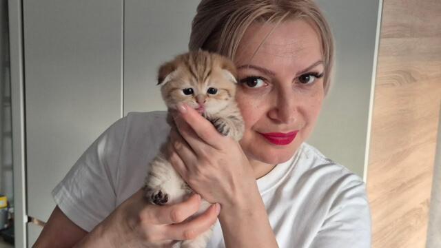 Вес котят 😊 30 дней Шанишкам 😊