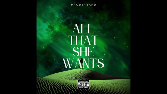 ACE OF BASE - ALL THAT SHE WANTS (PBZ Funk Remix)