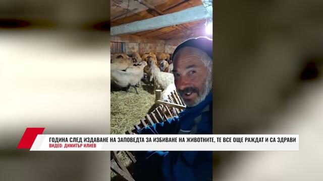 ГОДИНА СЛЕД ИЗДАВАНЕ НА ЗАПОВЕДТА ЗА ИЗБИВАНЕ НА ЖИВОТНИТЕ, ТЕ ВСЕ ОЩЕ РАЖДАТ И СА ЗДРАВИ