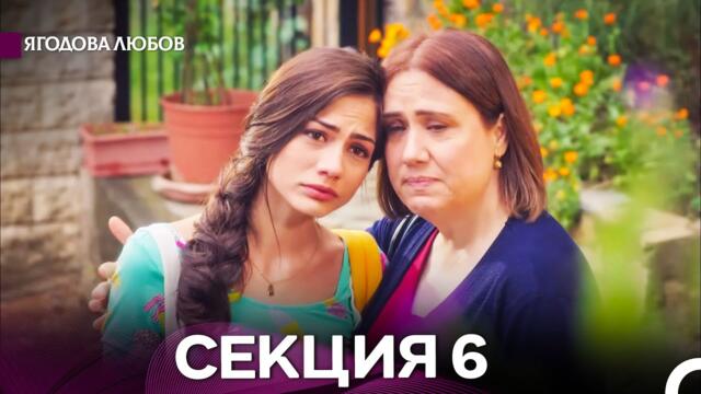 Ягодова Любов 6 Секция (Български Дублаж)