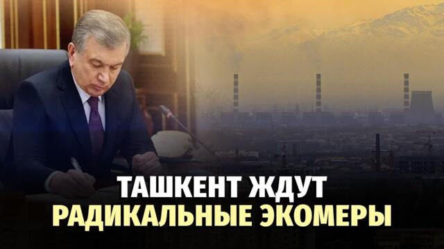 Президент подписал указ по улучшению экологии в Ташкенте
