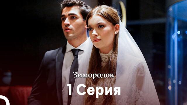 Зимородок 1 Cерия (Русский дубляж)(Длинная Bерсия)