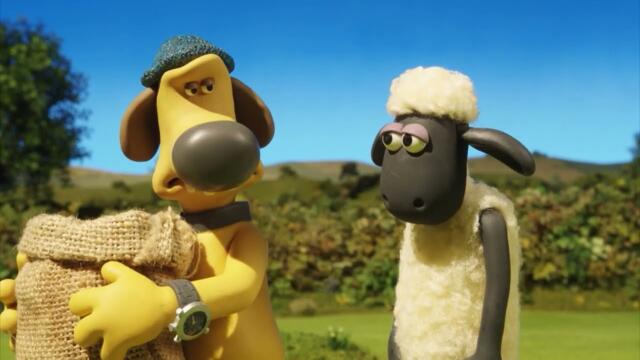 Fun and Friendship on the Farm 🌻 | Shaun the Sheep Compilation