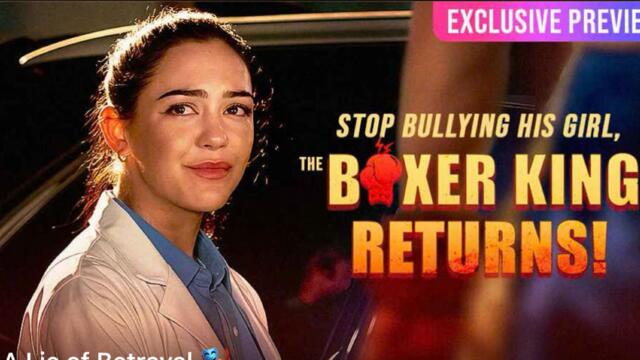 Stop Bullying His Girl, the Boxer Kinh Returns! 🎁🔥