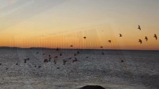 SvetlioFotisYo-Кладата на душата/Kladata na dushata