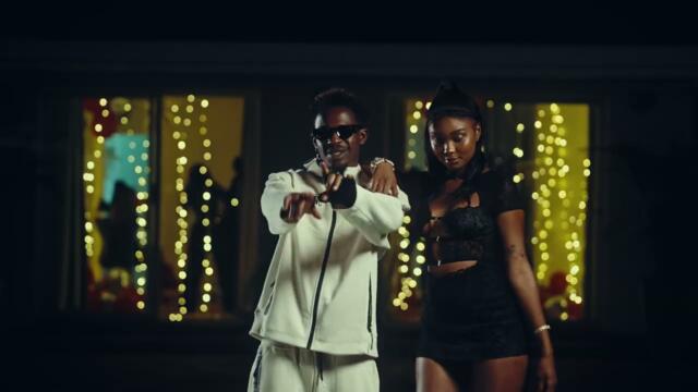 SaintFloew - Don Tolipito (Official Music Video)