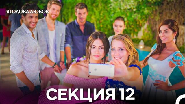Ягодова Любов 12 Секция (Български Дублаж)