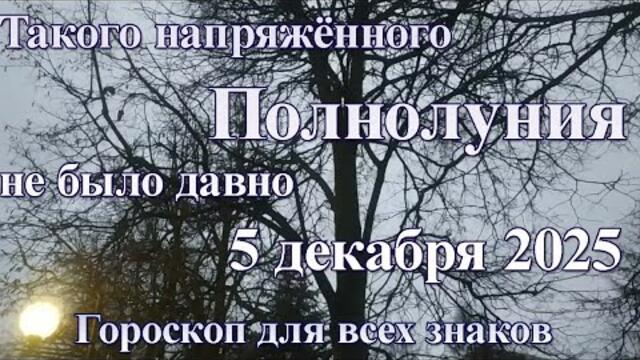 Такого напряжённого Полнолуния не было давно. Гороскоп на Полнолуние 5 декабря 2025