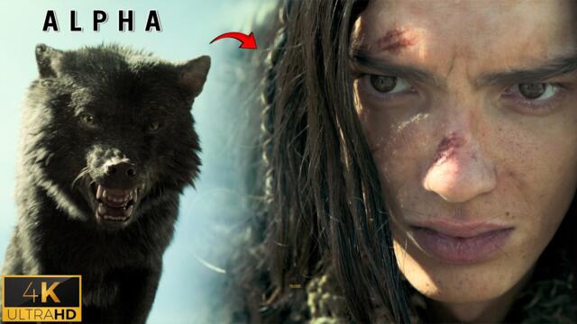 Keda Saves an Injured Wolf | Alpha 4K Emotional Scene