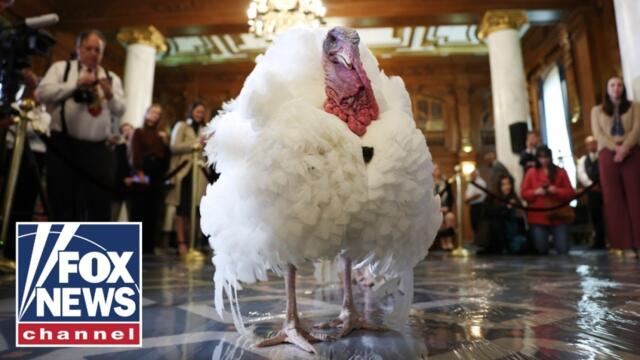 President Trump and first lady Melania pardon the Thanksgiving turkeys