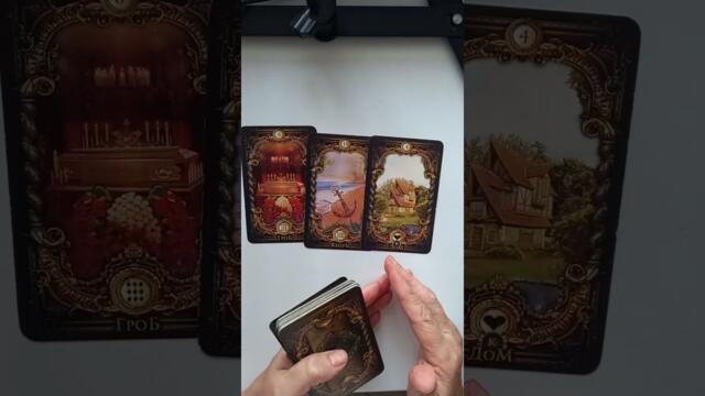 Полнолуние 05.12.2025г Таро прогроз для всех знаков зодиака