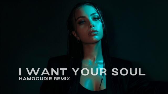 Armand Van Helden - I Want Your Soul (Hamooudie Remix) [Tech House]