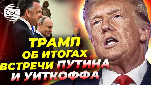 С чем вернулись к Трампу Уиткофф и Кушнер из России?