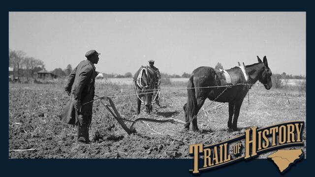 The Legacy of African American Farmers | Trail of History