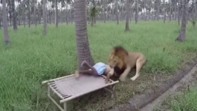 Повезло Заснять на Камеру! Случаи с Животными, В Которые Трудно Поверить !