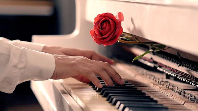 Michael Ortega - The Rose of Romance (Official Video)